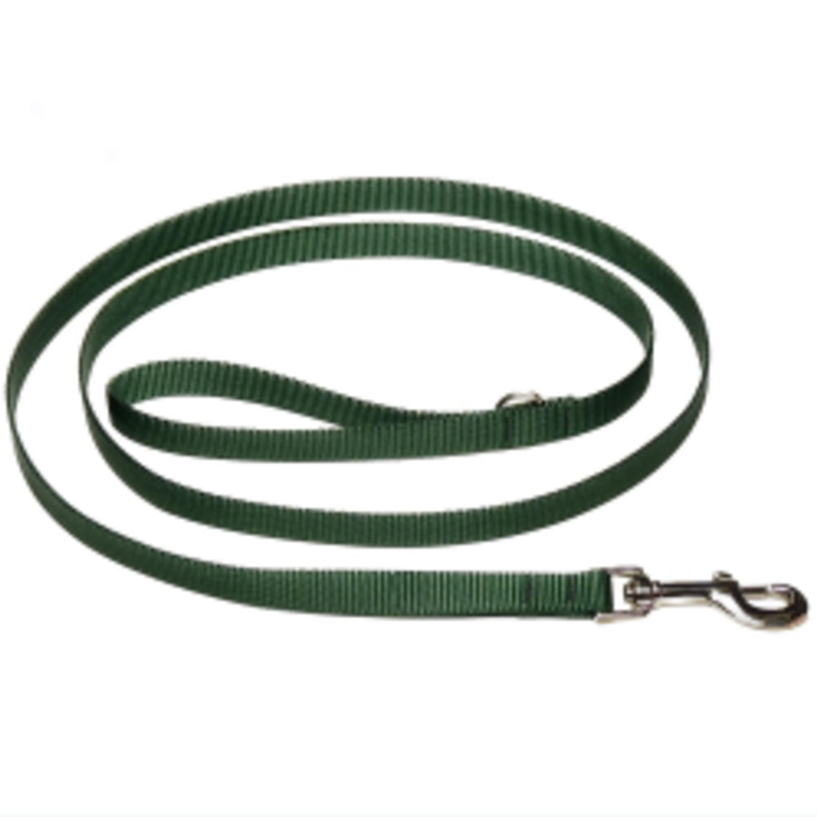 Hunter Brand Nylon leash - 1 in x 6 ft