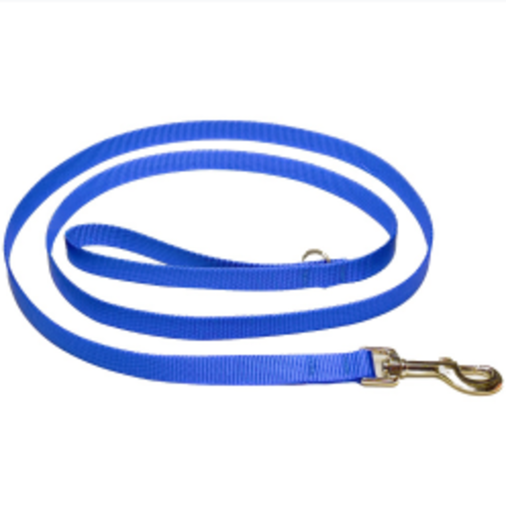 Hunter Brand Nylon leash - 1 in x 6 ft