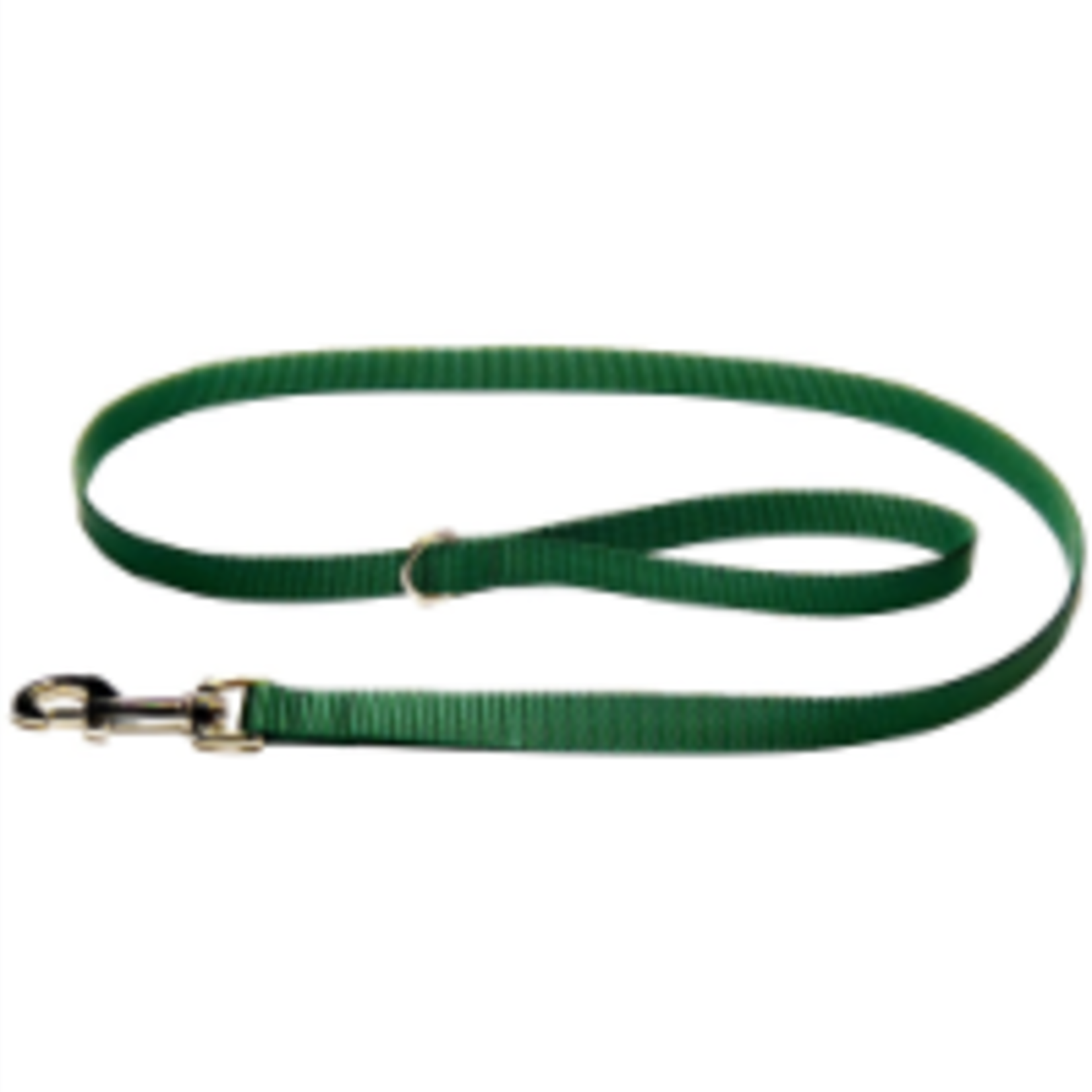 Hunter Brand Nylon leash - 3/4 in x 4 ft