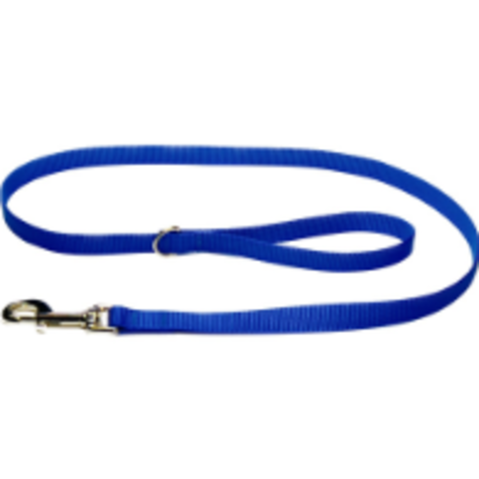 Hunter Brand Nylon leash - 1 in x 4 ft