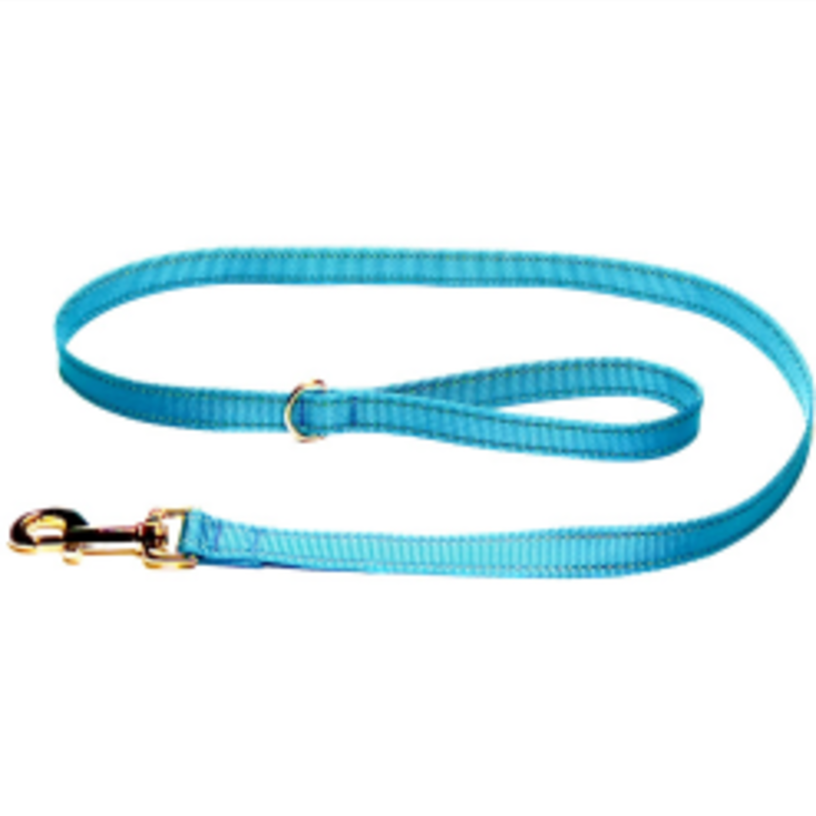 Hunter Brand Nylon leash - 1 in x 4 ft