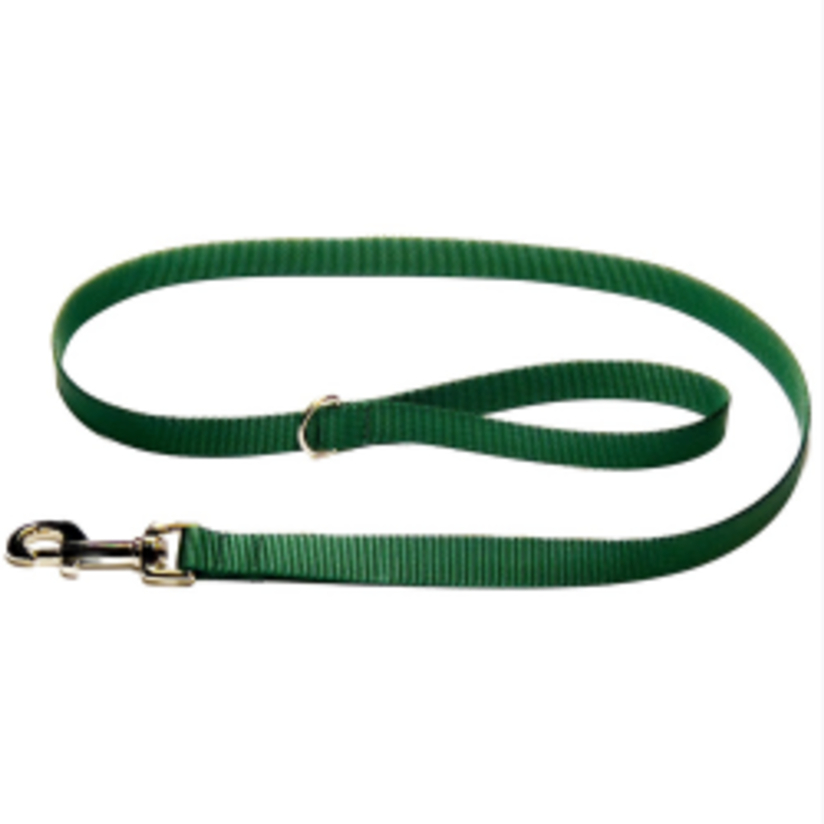 Hunter Brand Nylon leash - 1 in x 4 ft