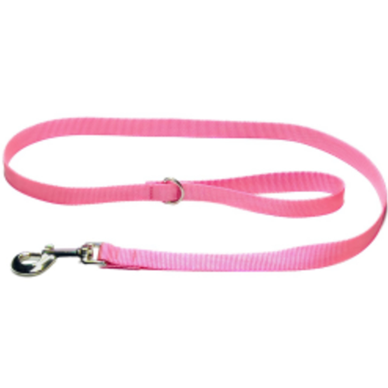 Hunter Brand Nylon leash - 1 in x 4 ft