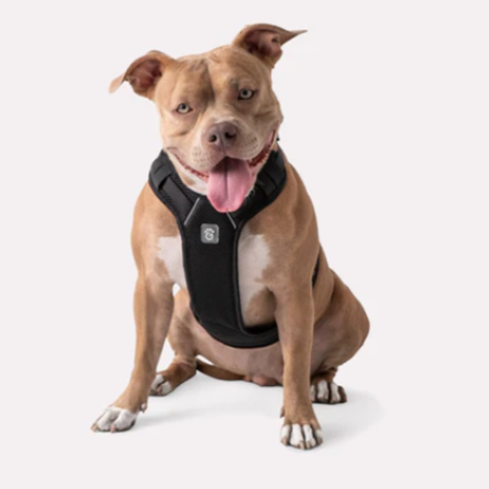 GF Pet Mesh Dog Travel Harness - 2XS