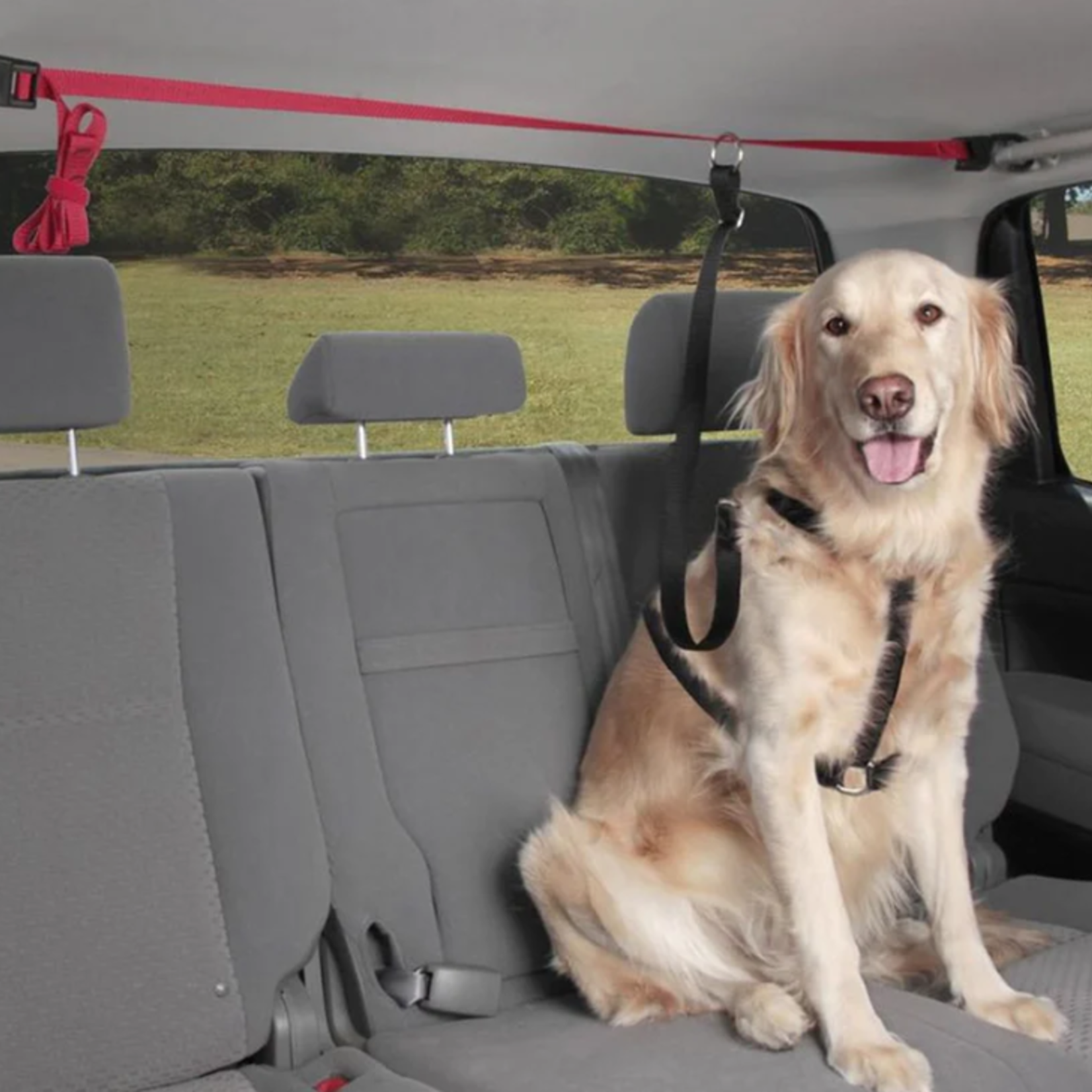 Solvit PupZip Zipline