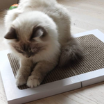 RIGA Flutty - Multi-use scratching mat and protector - 42 x 36 cm