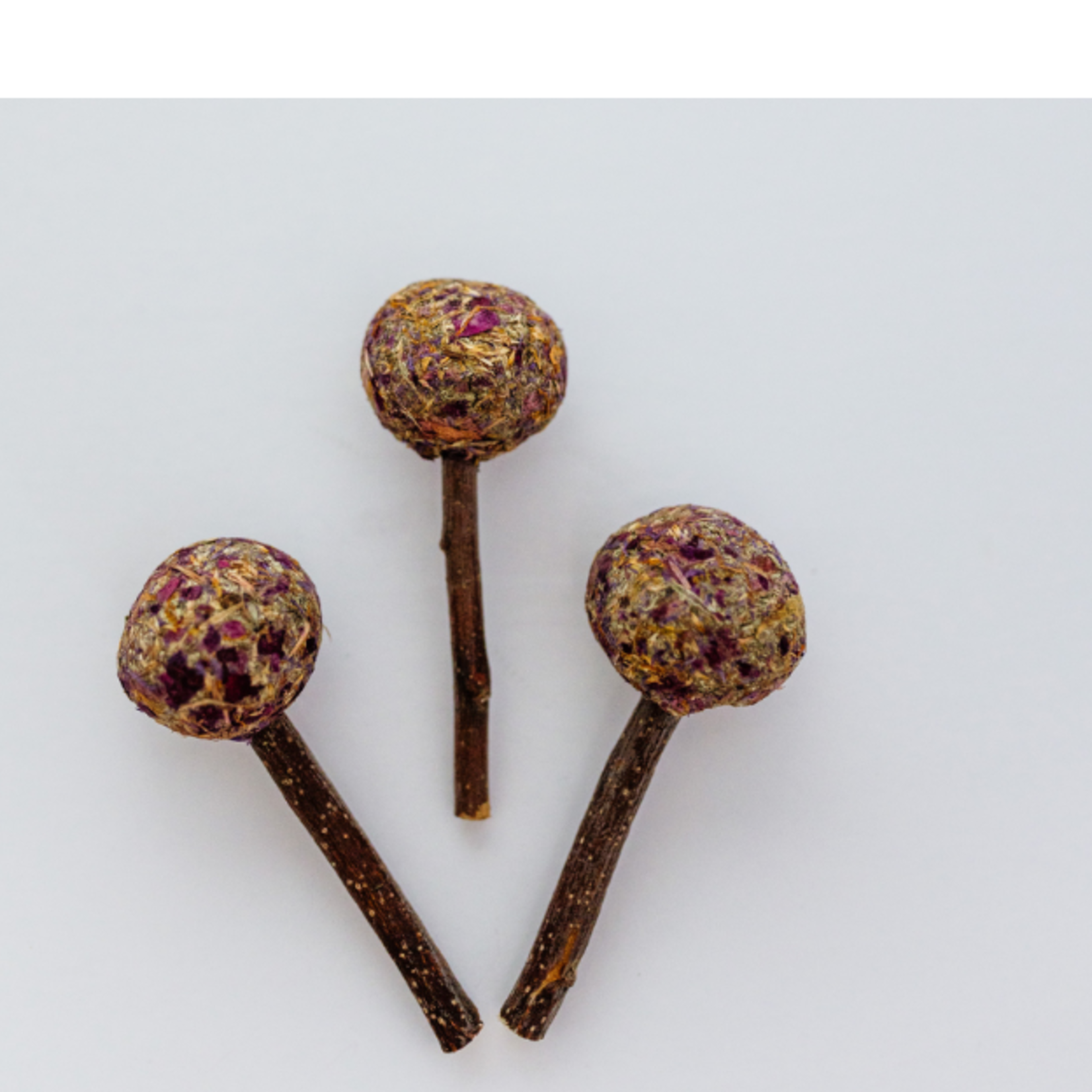 Les Petits Lapins d'Amour Lollipops (3)
