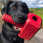 Chew & Durable