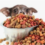 Kibble