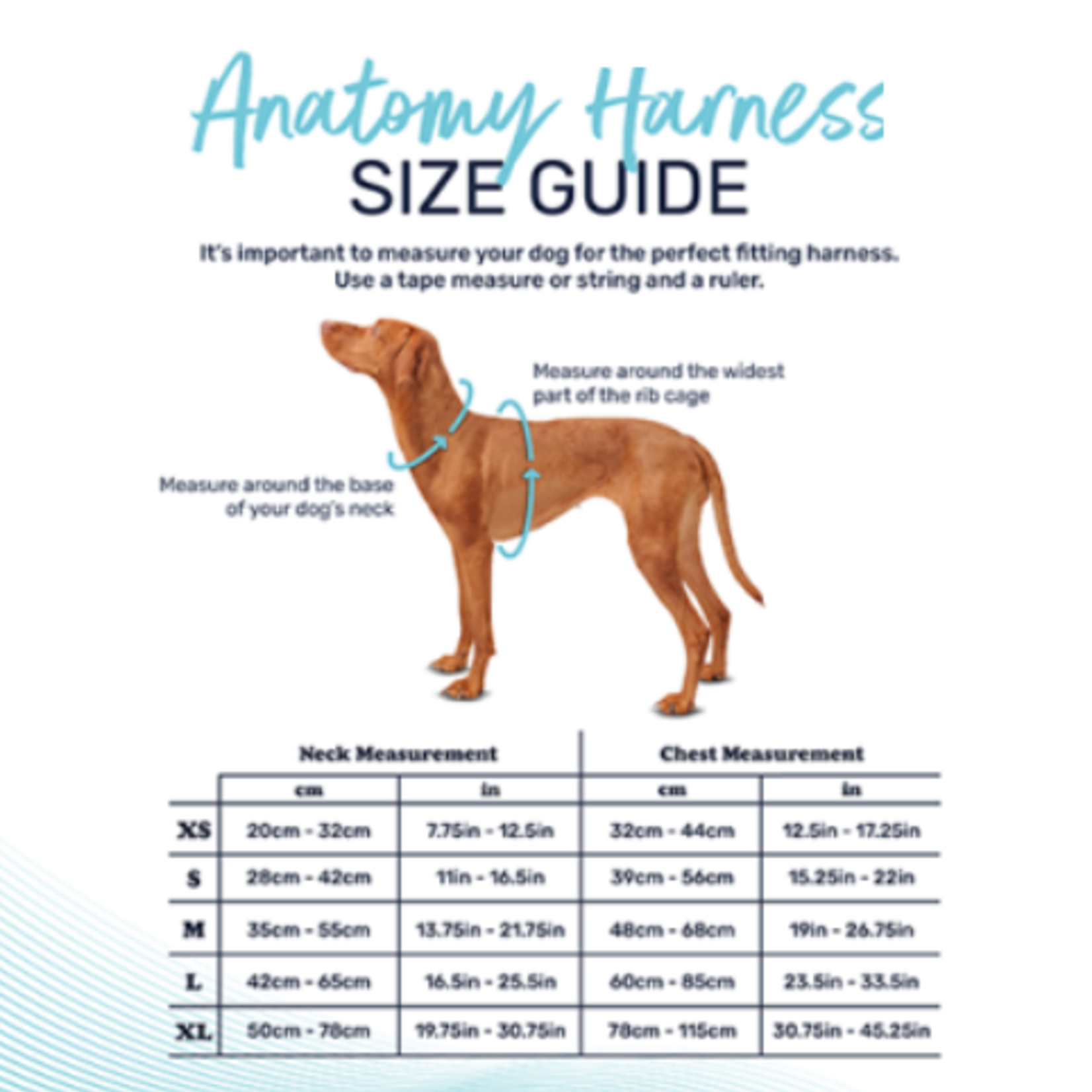 Company of Animals Halti® - Anatomy Harness - Green - Medium