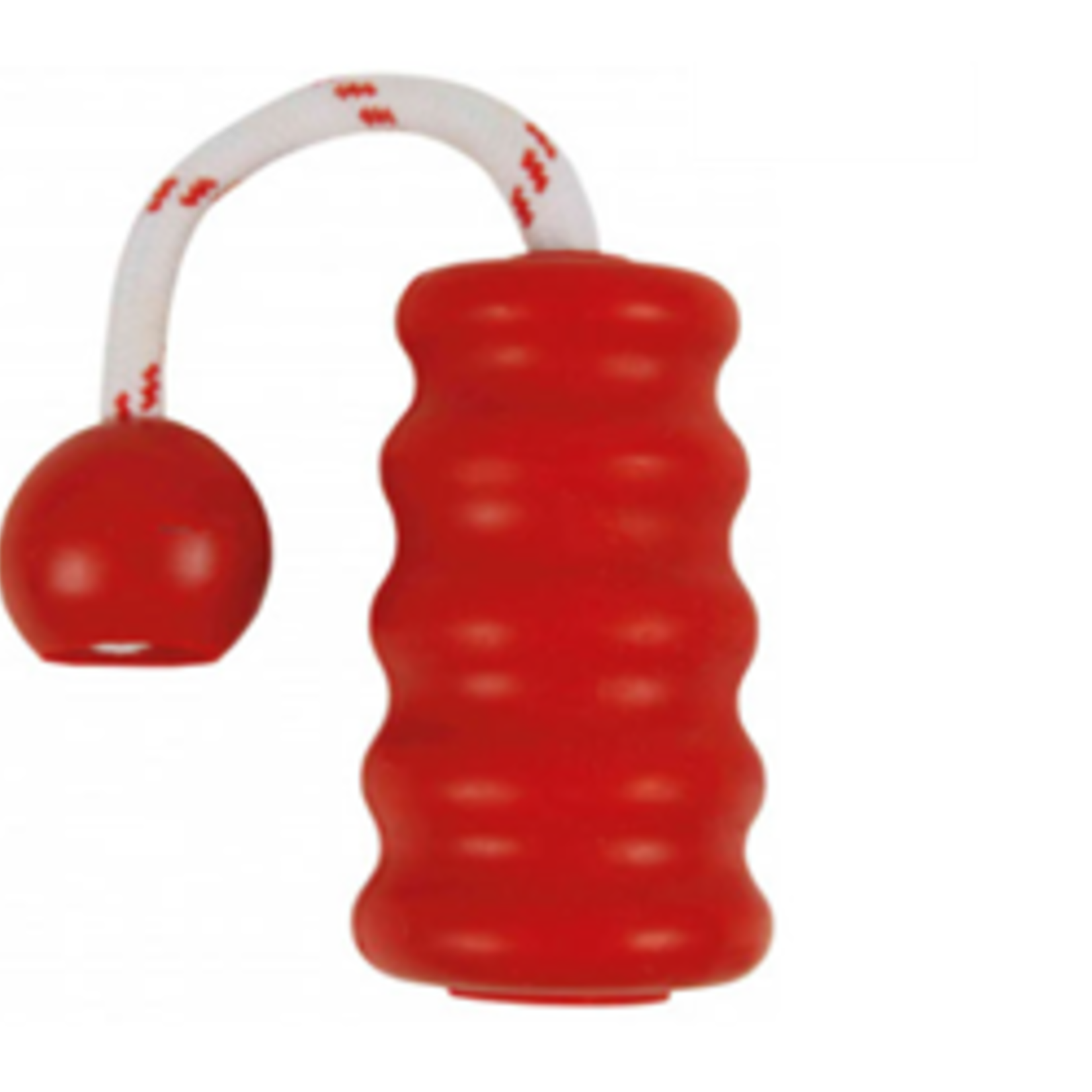 Trixie Mot-Fun floatable toy