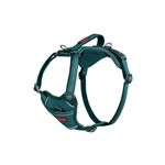 Company of Animals Halti - Harnais anatomiey - Turquoise