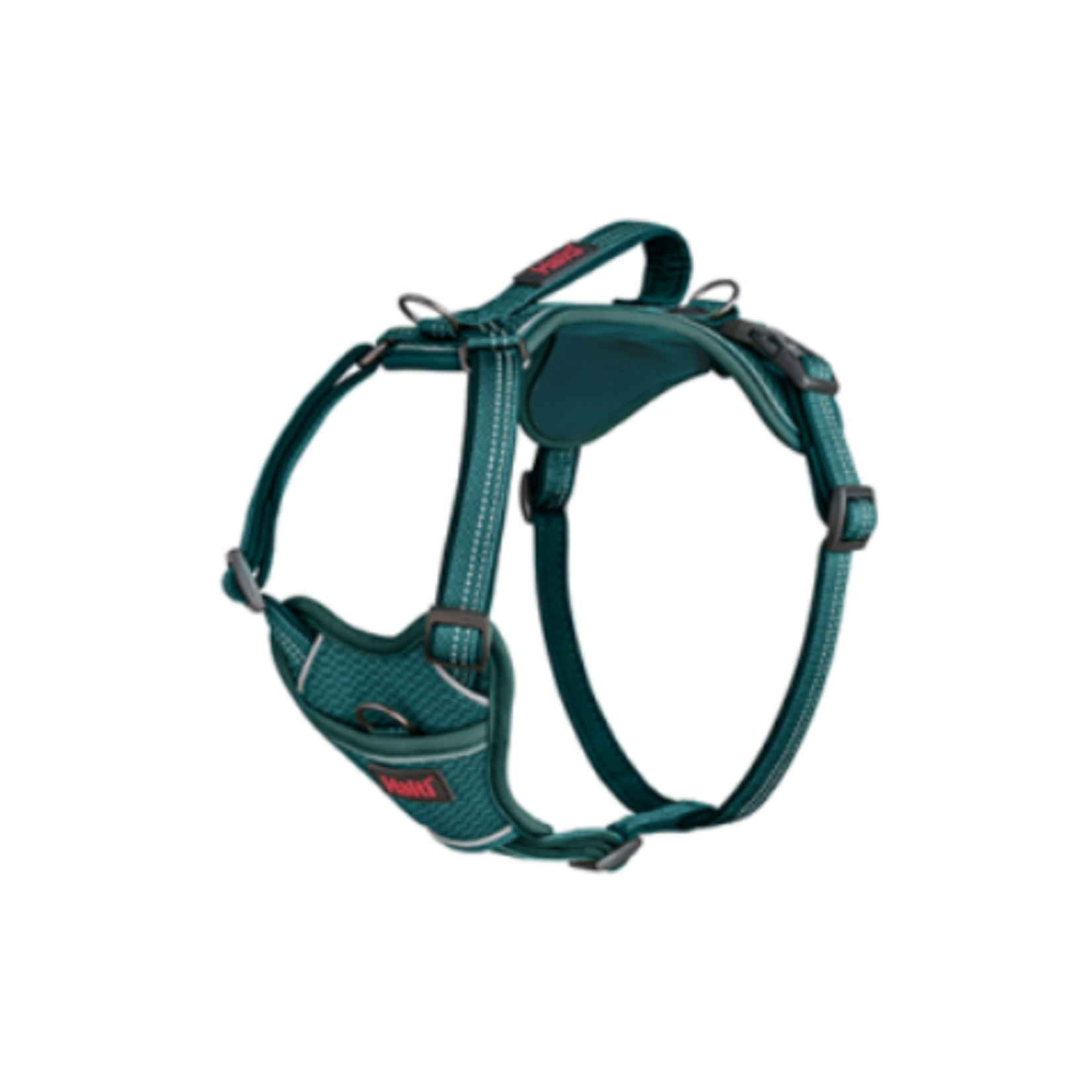 Company of Animals Halti - Anatomy Harness - Teal