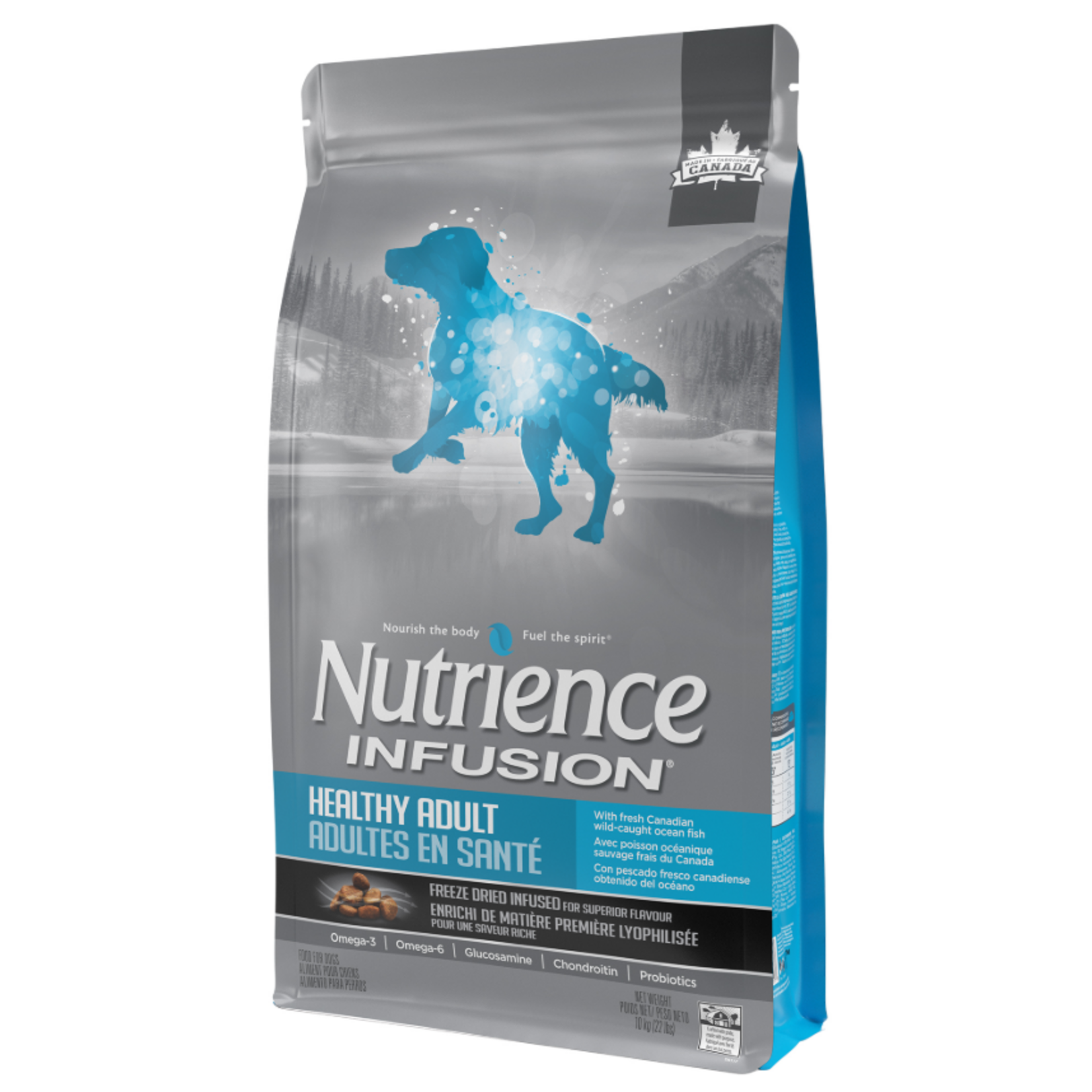 Nutrience Infusion - Healthy Adult Dog - Ocean Fish - 22 lbs