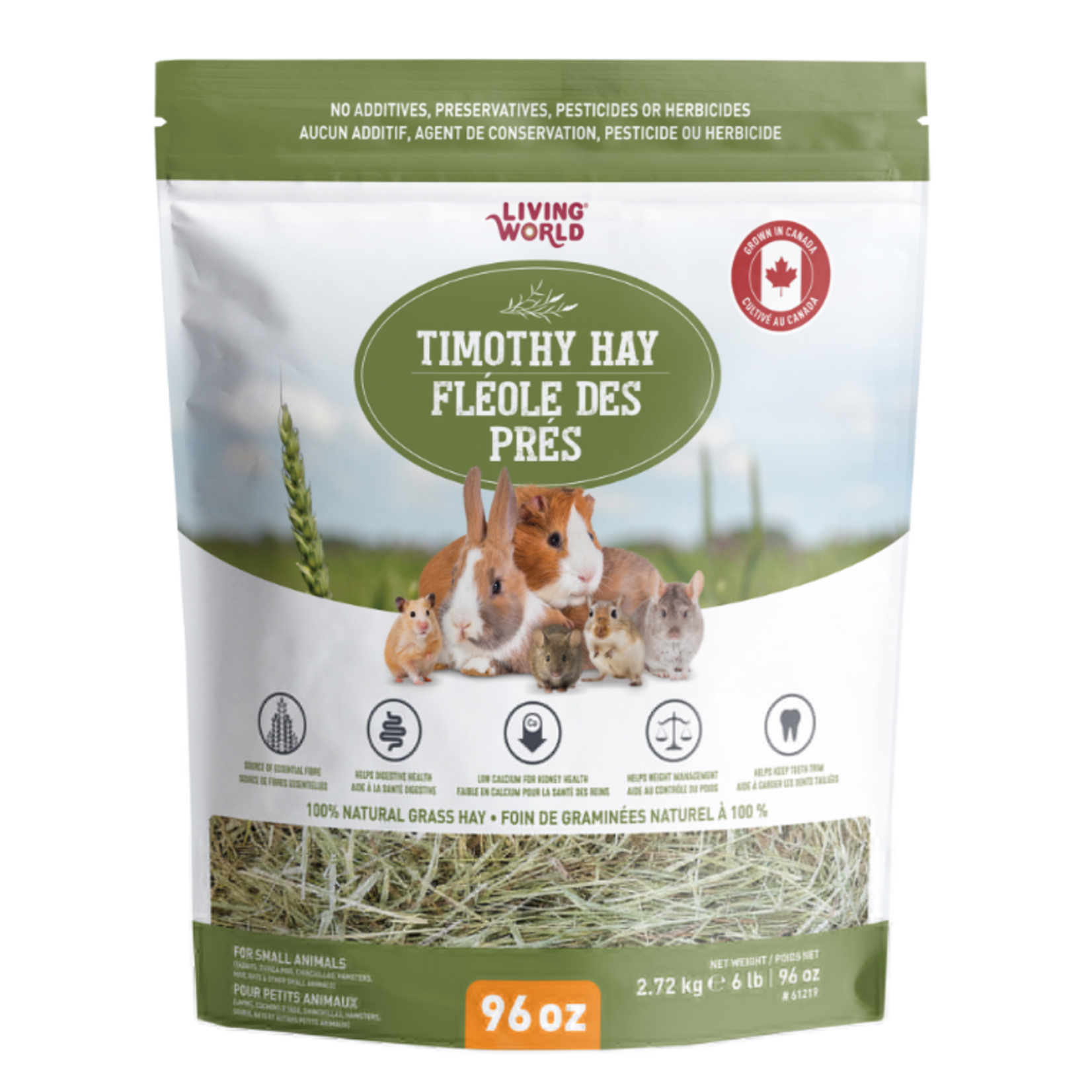 Living World Timothy Hay - Fléole des Prés 100% - 6 lbs