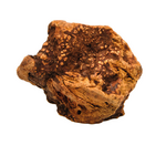 Paw Paw Heather root - Medium - 301-500 g