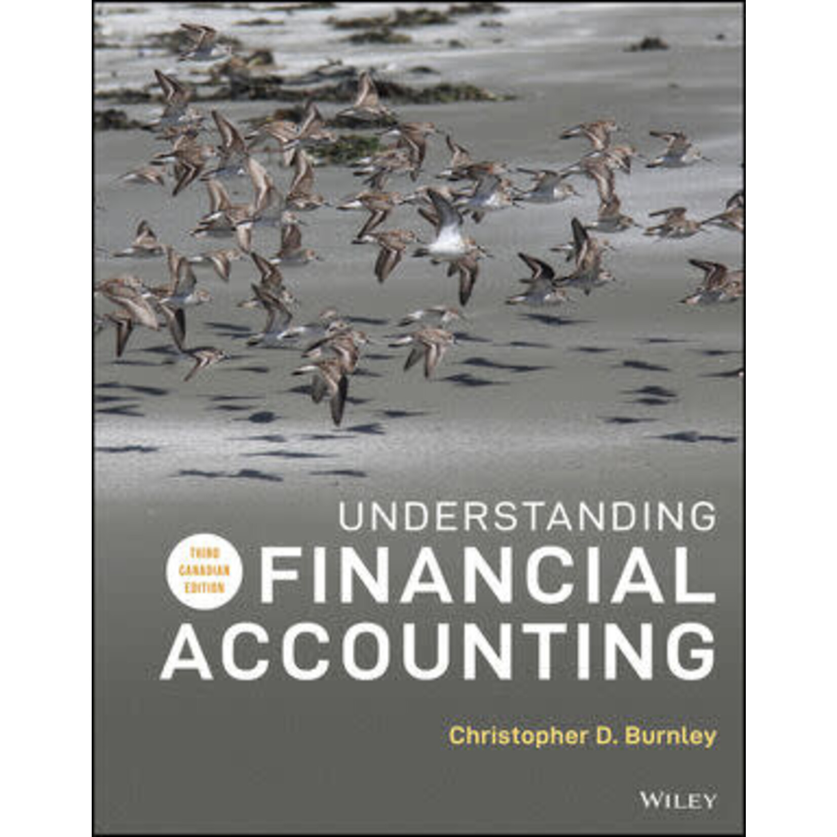 eBook Understanding Financial Accounting, 3rd Canadian Edition (150 Days)