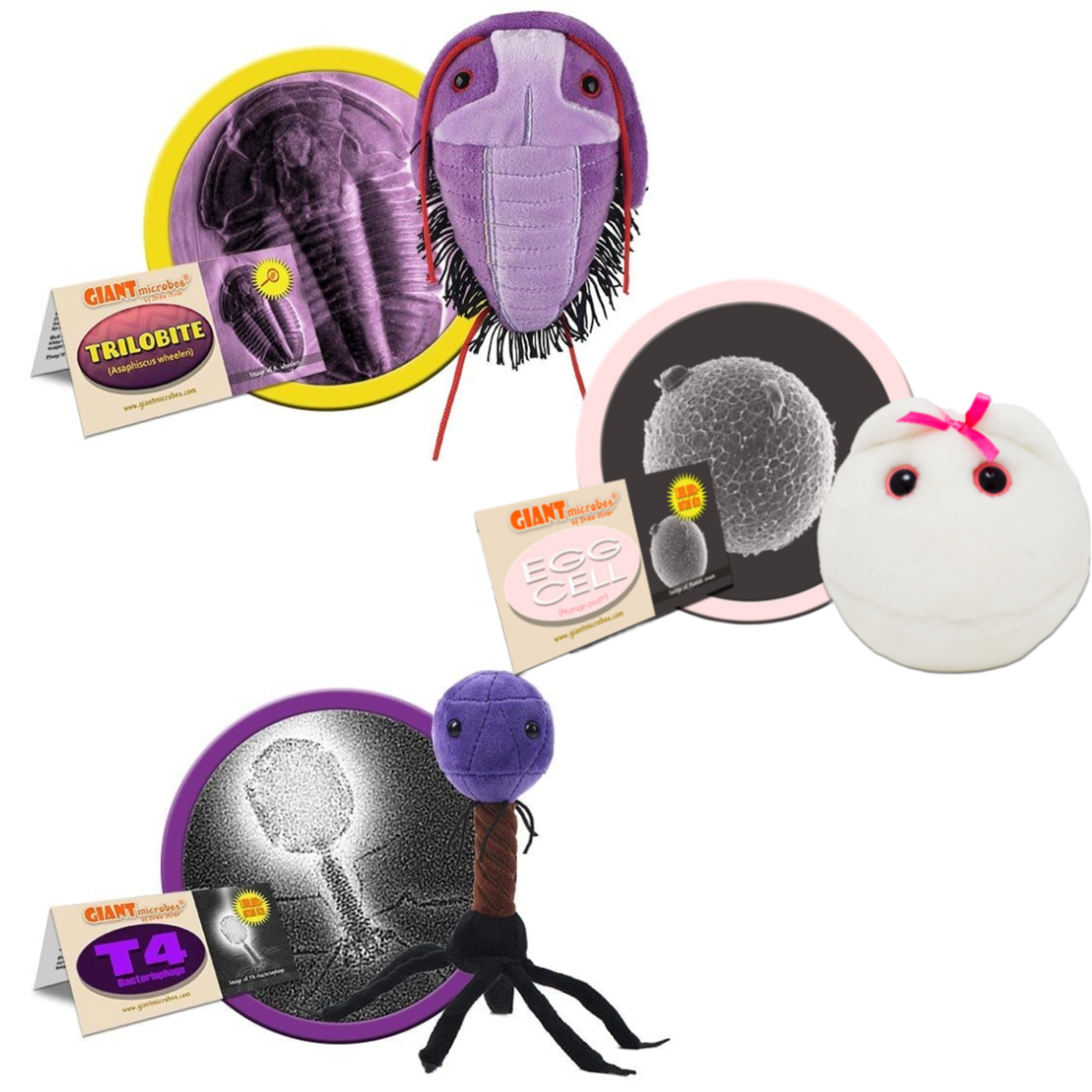 Giant Microbes