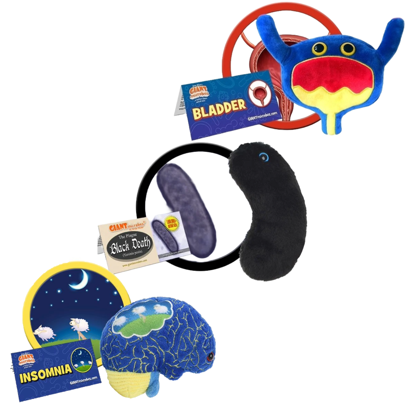 Giant Microbes UNB Saint John Campus Store