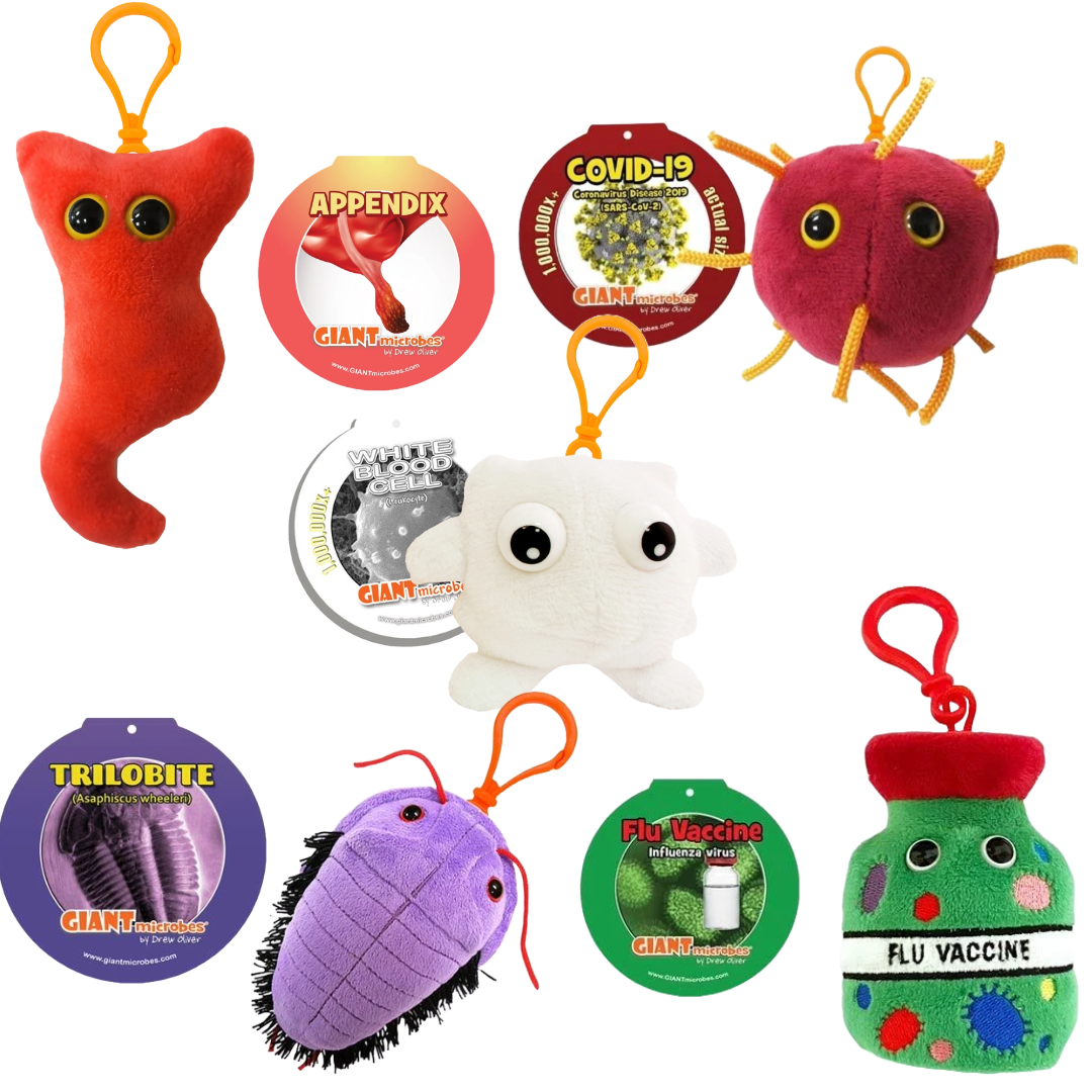 Giant Microbes Keychains UNB Saint John Campus Store