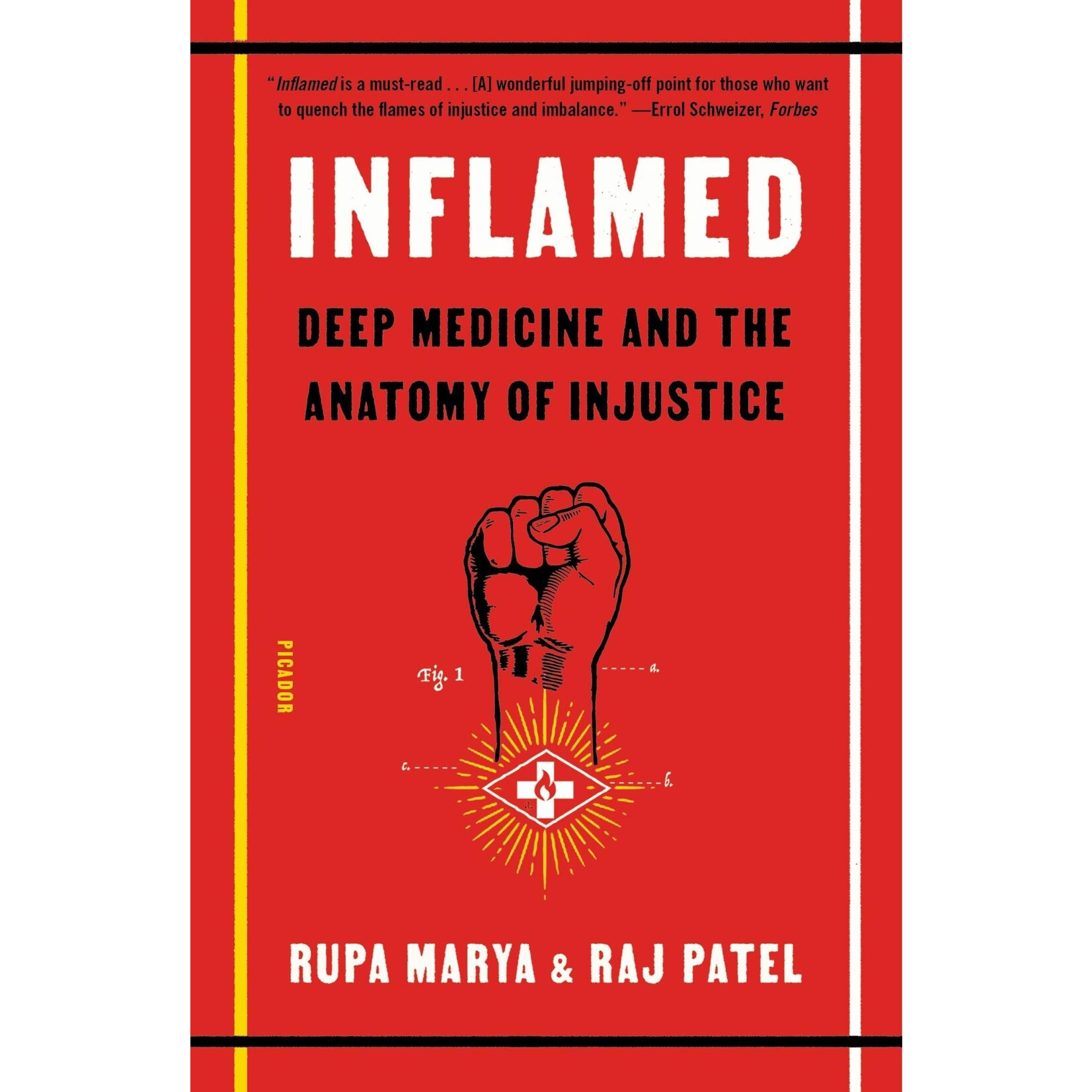 Inflamed: Deep Medicine and the Anatomy of Injustice