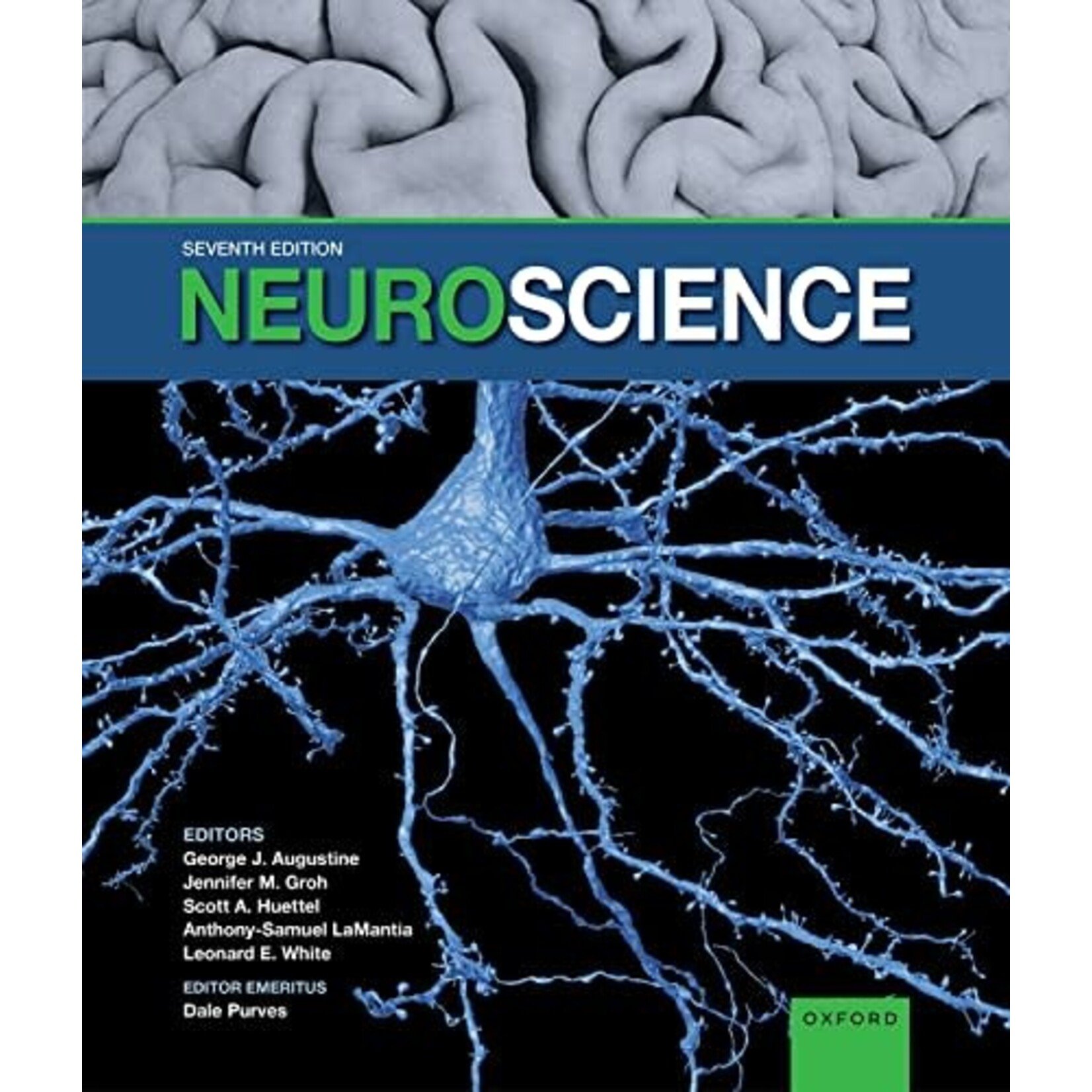 Neuroscience, 7th Edition