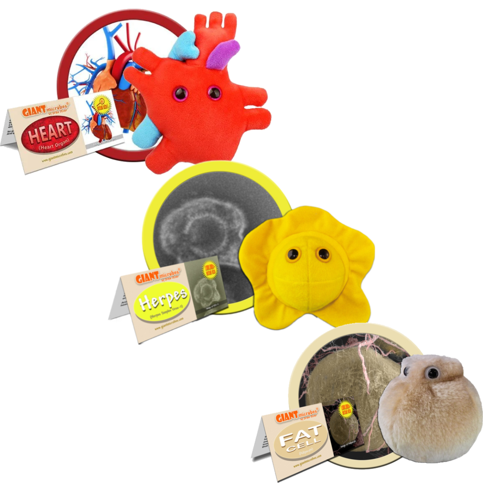 Giant Microbes