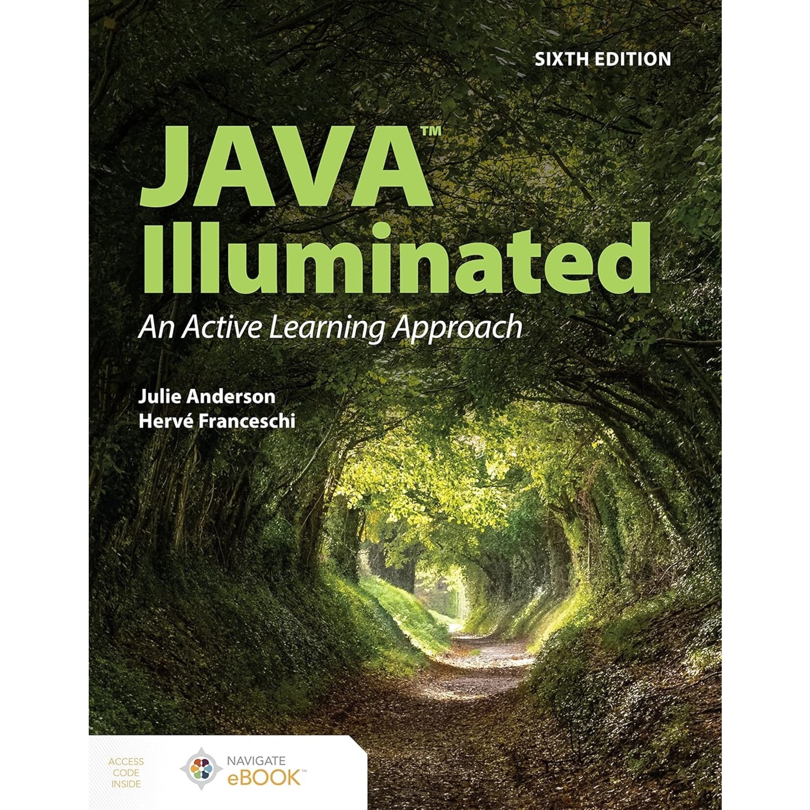 Java Illuminated 6e Special Edition