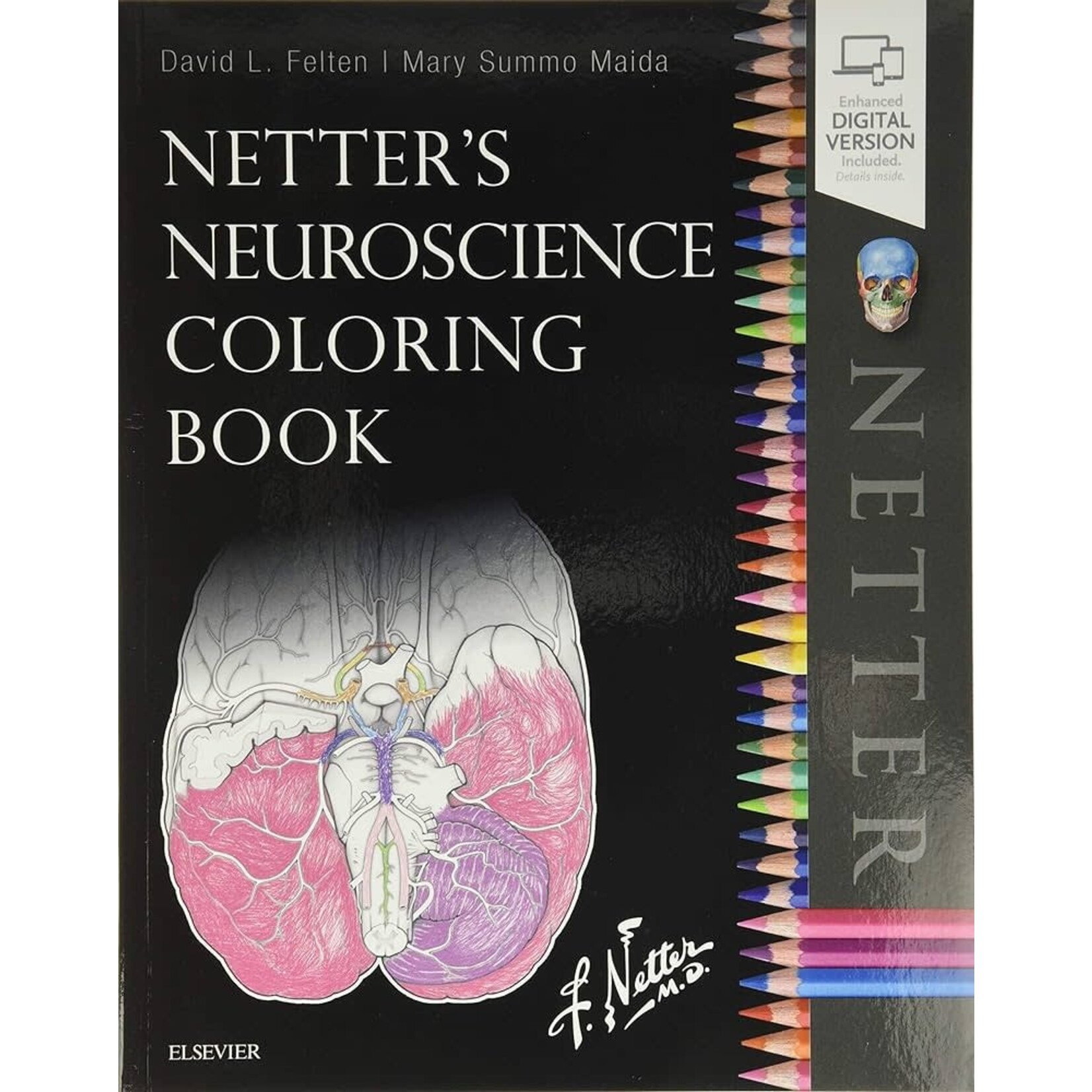Netter's Neuroscience Coloring Book [2E]