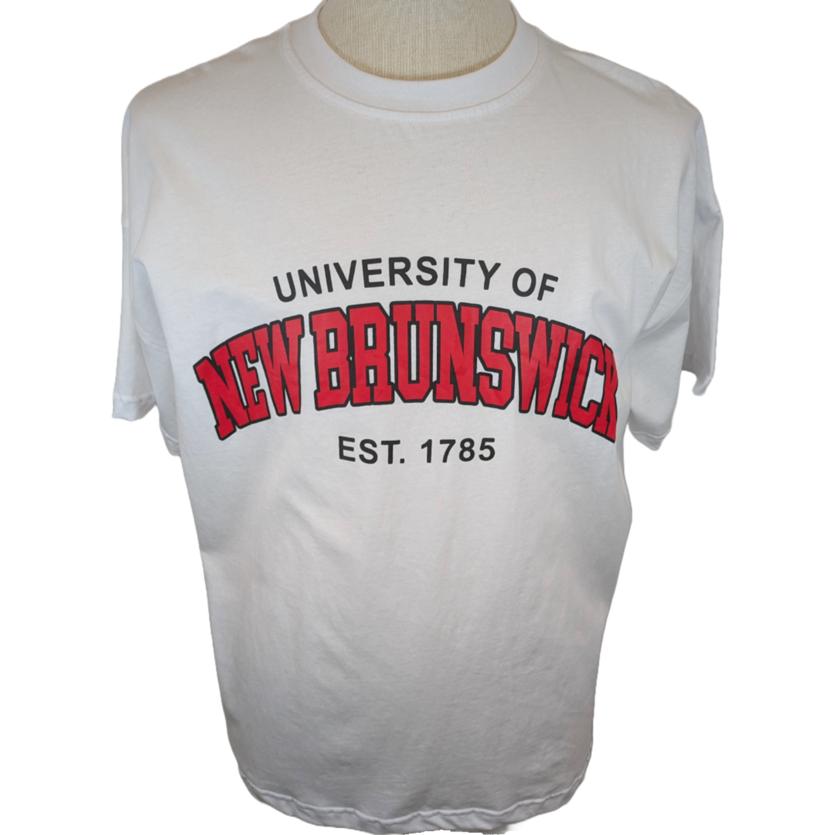 UNB Boyfriend Arc Tee