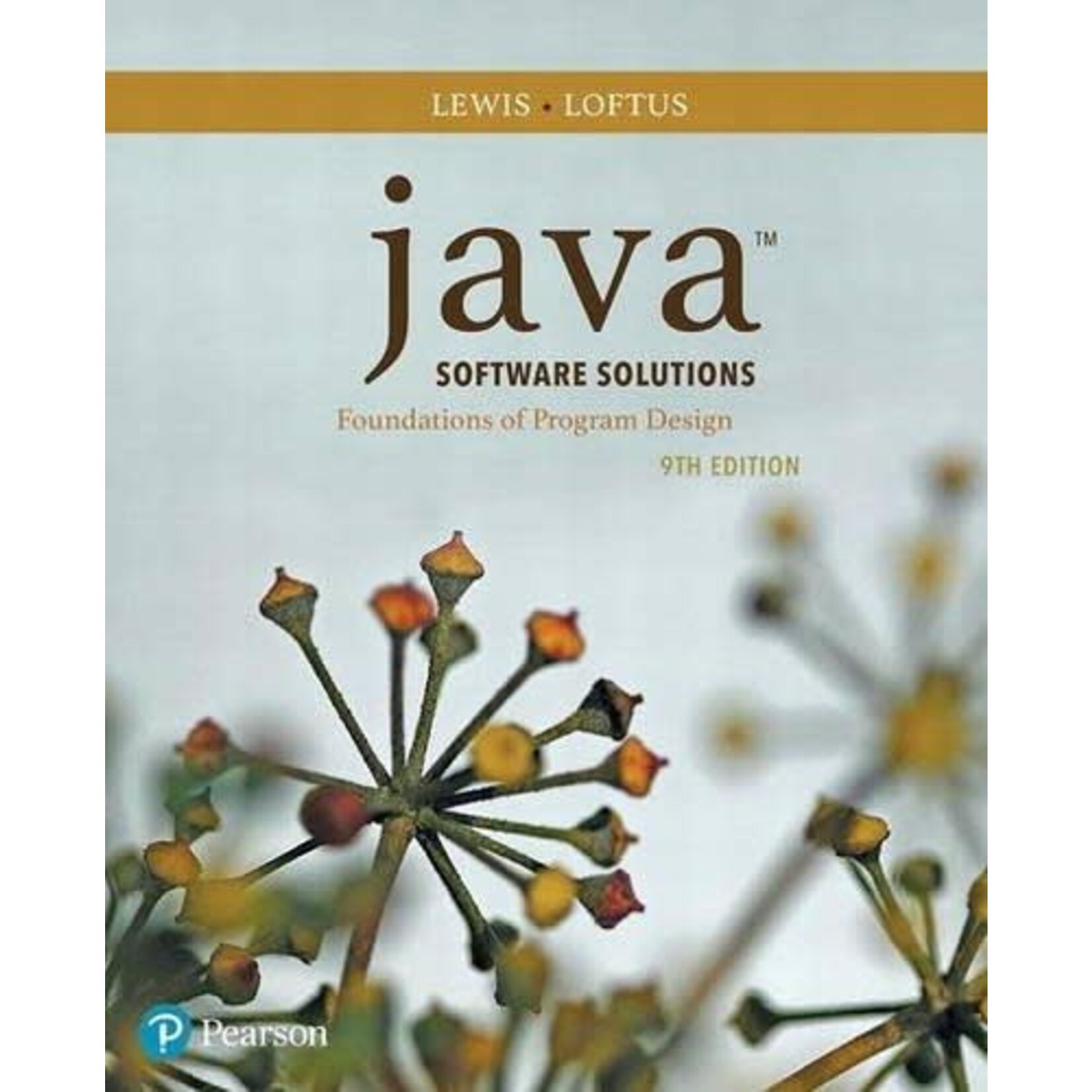 Java Software Solutions 9th Ed.