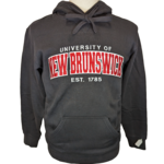 Russell Athletic Unisex Arc Russell Athletic Premium Hoodie