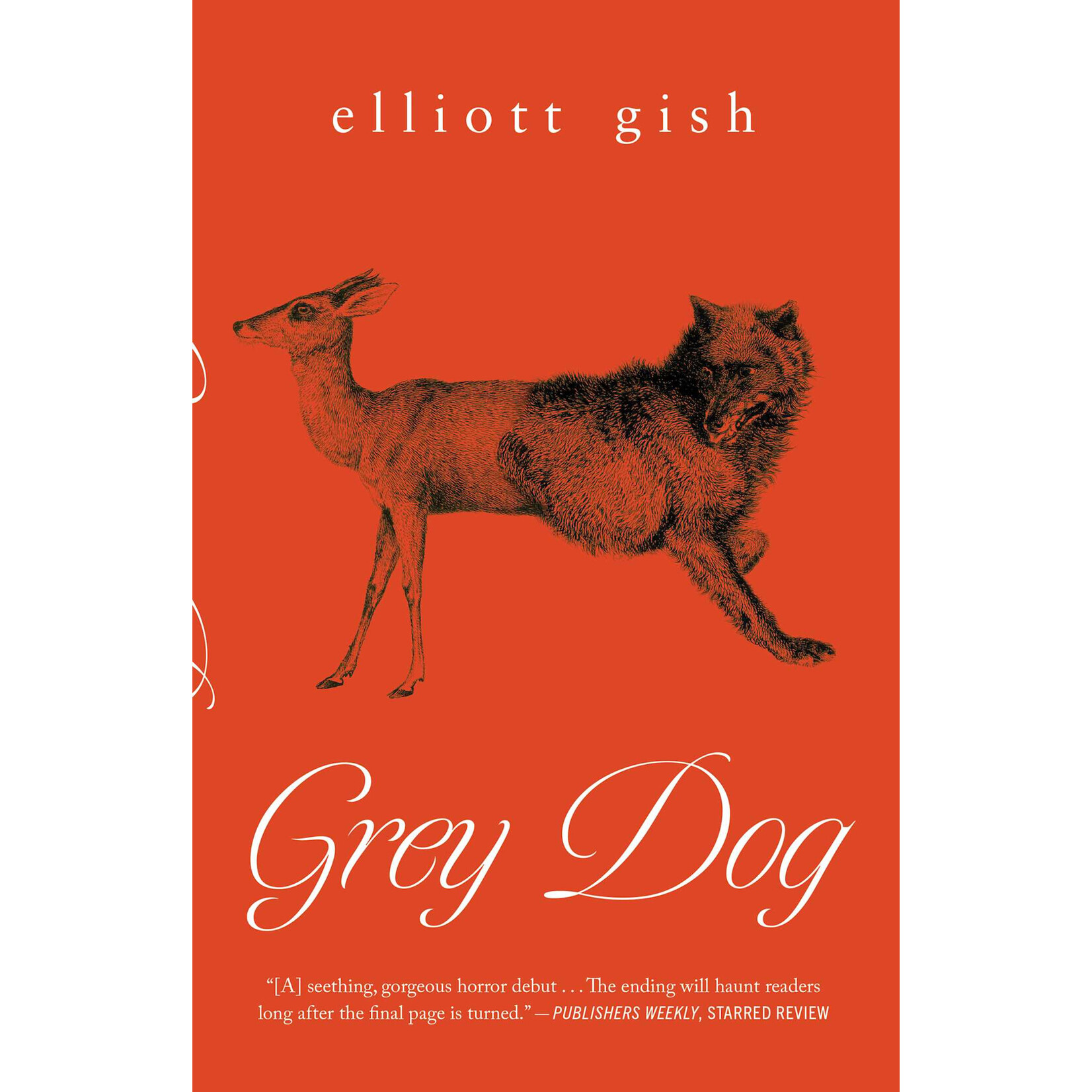 Grey Dog