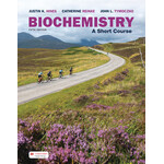 Biochemistry: A Short Course, 5th Edition (Looseleaf)