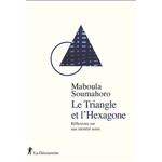 Le Triangle et l'Hexagone: réflexions sur une identité noire