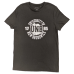 Province Stamped Tees Mink 2XL