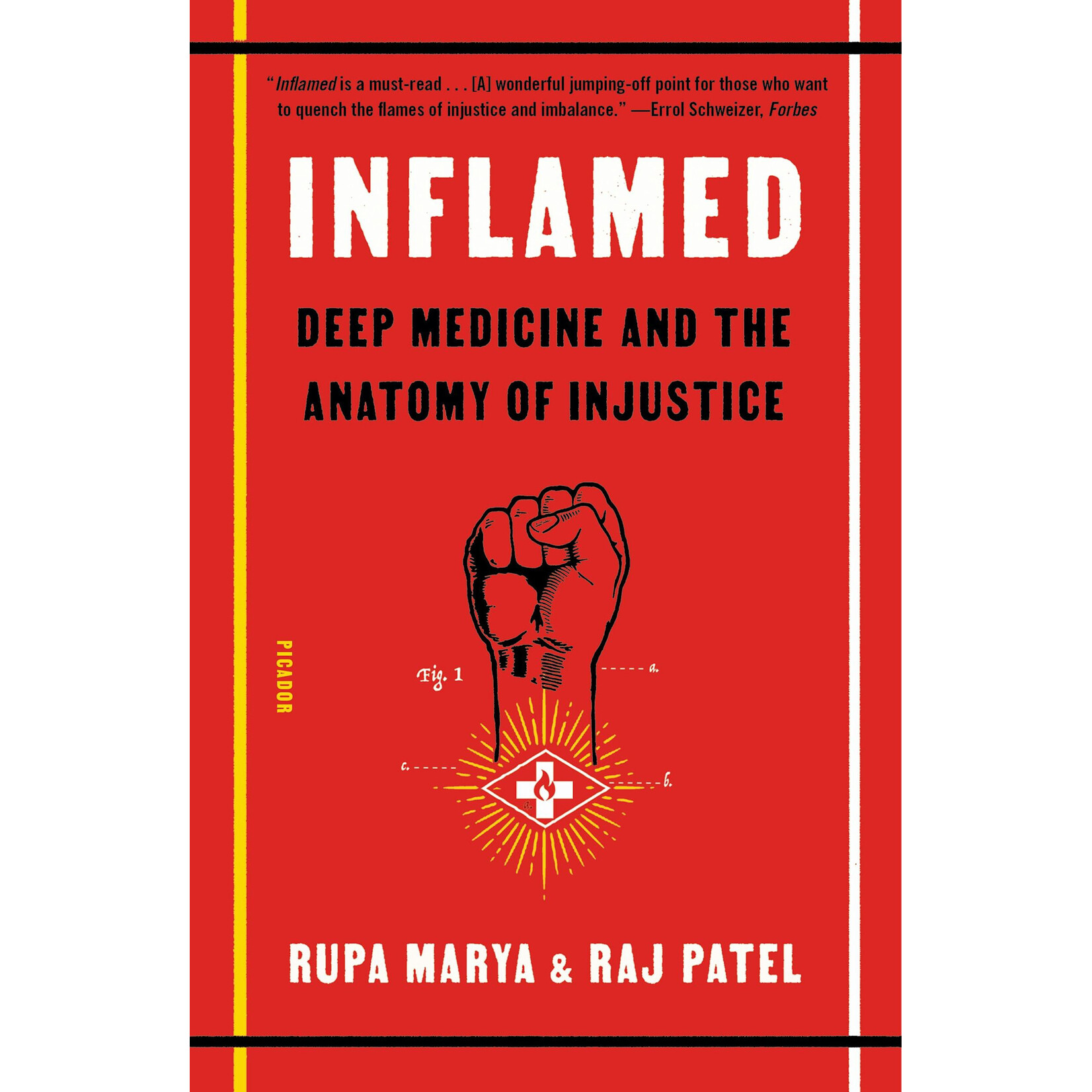 Inflamed: Deep Medicine and the Anatomy of Injustice