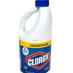 Clorox 64-fl oz Hidden Compartment Secret Diversion Safe Personal Security Stash Can