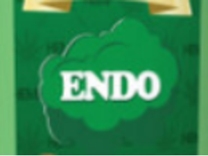 Endo