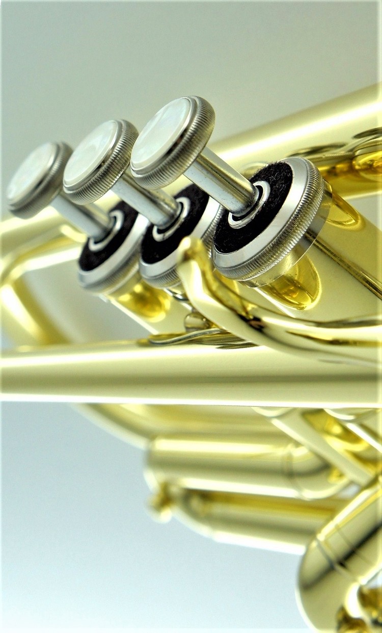 CarolBrass CarolBrass Beginner Trumpet with Yellow Brass Lacquer Finish CTR-1000H-YSS-Bb-L