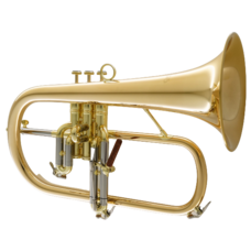 CarolBrass Carol Brass Professional Gold Brass Flugelhorn CFL-6200-GSS-Bb-L