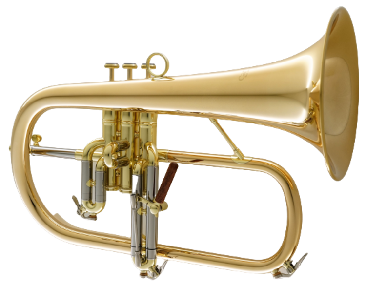 CarolBrass Carol Brass Professional Gold Brass Brass Flugelhorn CFL-6200-GSS-Bb-L