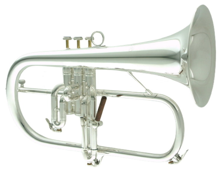 CarolBrass CarolBrass Professional Silver Plated Flugelhorn CFL-6200-YSS-Bb-S