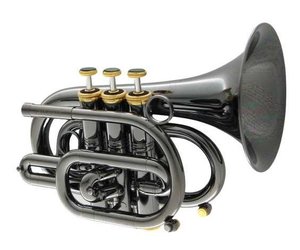 carolbrass-carolbrass-