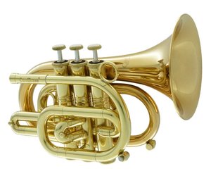 Polished Brass Bugle Instrument Pocket Trumpet With 3 Valve Flugel