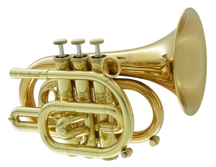 CarolBrass CarolBrass Professional Brass Lacquer Pocket Trumpet CPT-3000-GLS-Bb-L