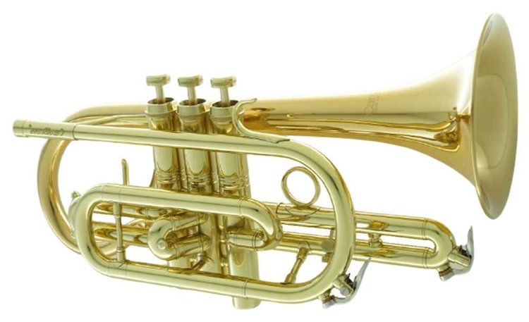 CarolBrass CarolBrass Intermediate Cornet CCR-3880-GSS-Bb-L