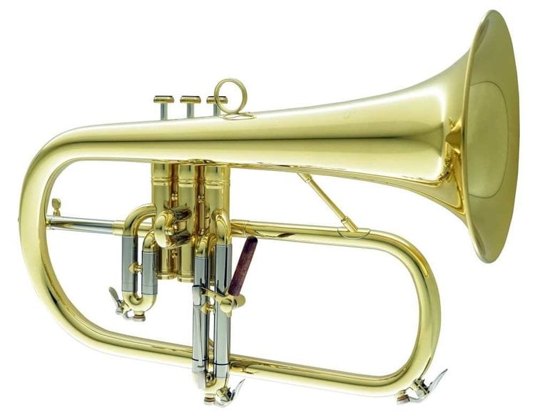 CarolBrass CarolBrass Professional Yellow Brass Flugelhorn (CFL-6200-YSS-Bb-L)