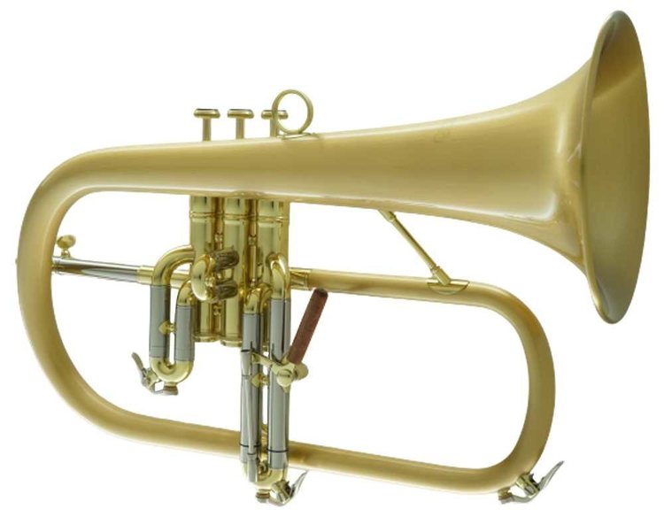 CarolBrass CarolBrass Professional Gold Brass and Satin Lacquer Flugelhorn CFL-6200-GSS-Bb-SLB