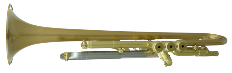 CarolBrass CarolBrass Satin Lacquer Professional Trumpet (CTR-7660L-GSS-Bb-SL)